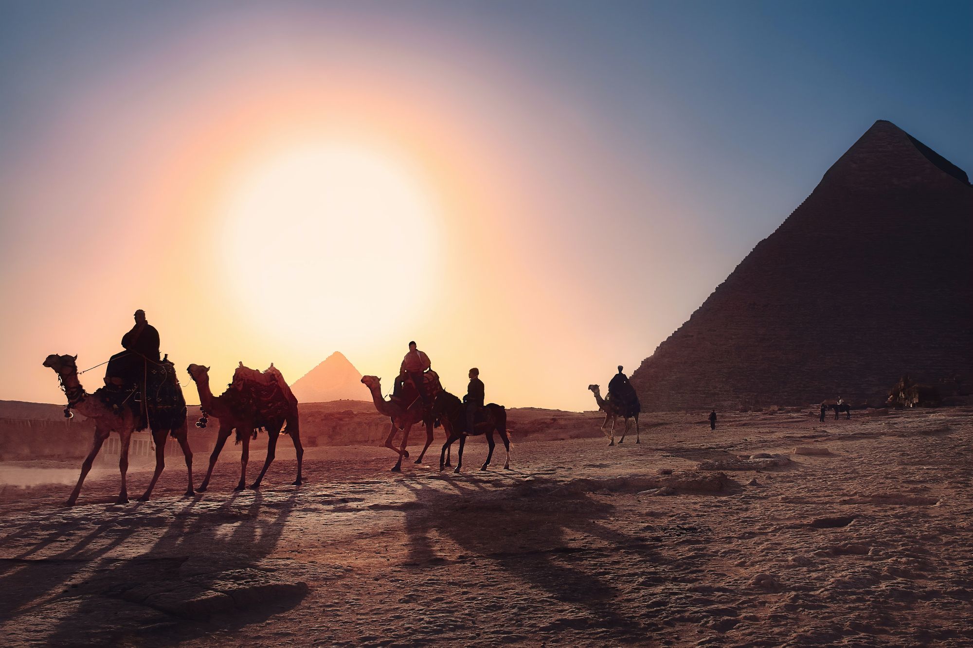 Wherever You Stay in Egypt, here are 8 popular hotels you should consider